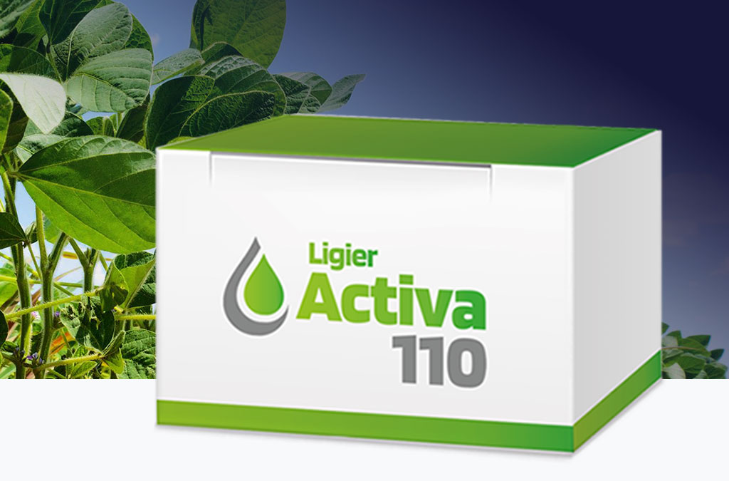 Activa 110