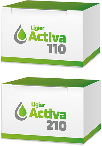 caja-Ligier-Activa-2 Caja Activa