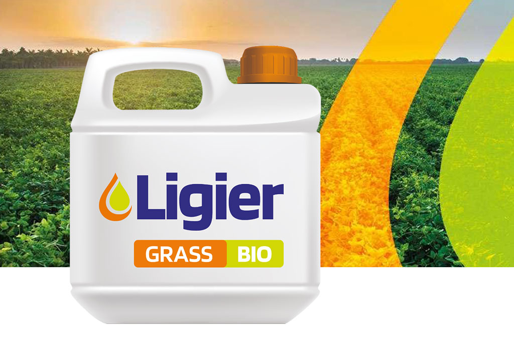 Grass Bio