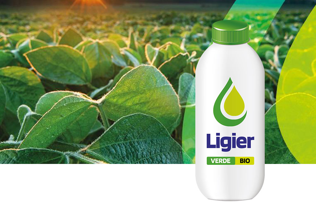 Verde Bio